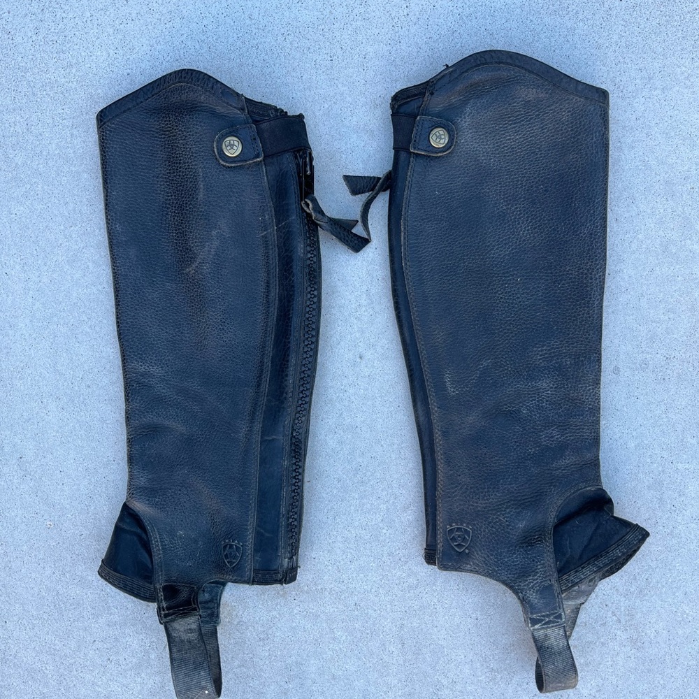 Ariat Concord Halfchaps